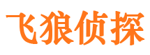 坡头飞狼私家侦探公司